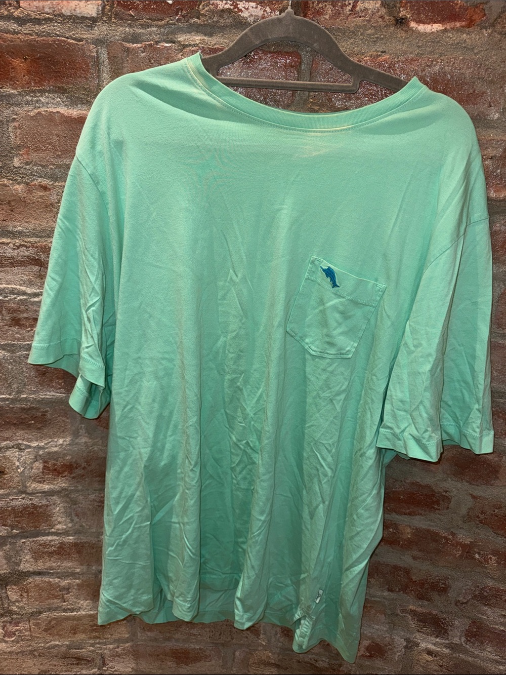 Tommy Bahama Mint Green Short Sleeve Pocket Tee (has stains)